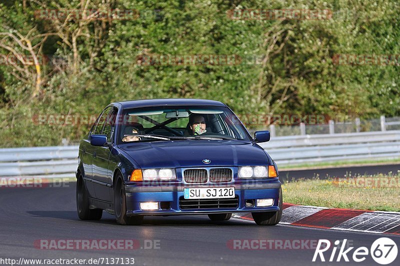 Bild #7137133 - Touristenfahrten Nürburgring Nordschleife (12.08.2019)