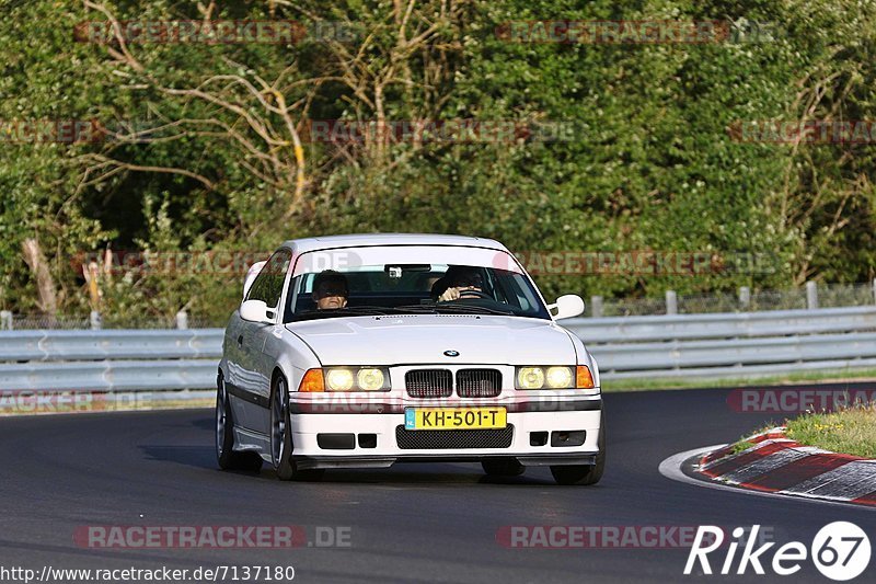 Bild #7137180 - Touristenfahrten Nürburgring Nordschleife (12.08.2019)