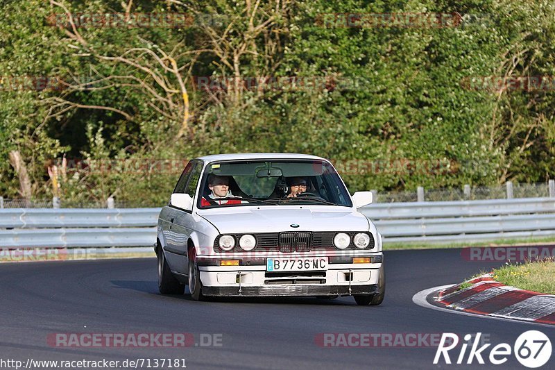 Bild #7137181 - Touristenfahrten Nürburgring Nordschleife (12.08.2019)