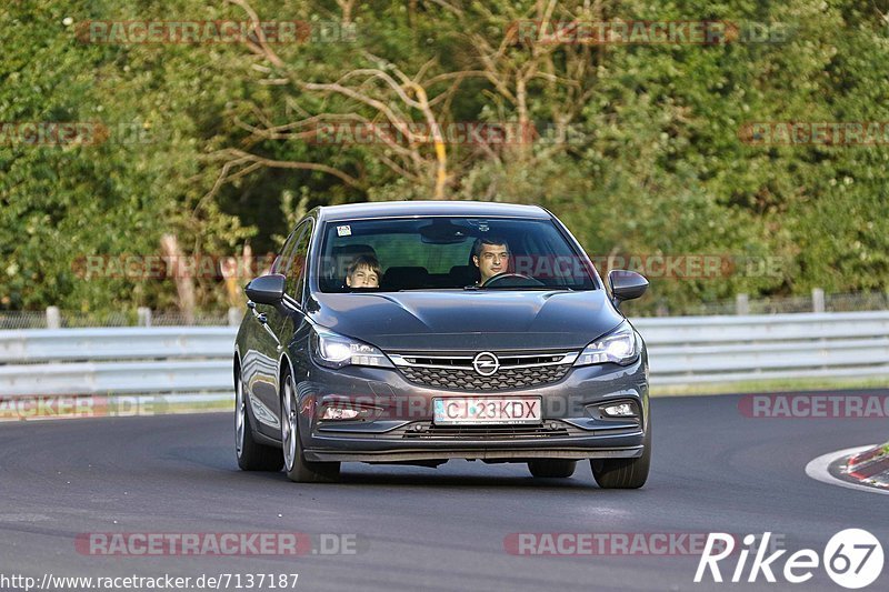 Bild #7137187 - Touristenfahrten Nürburgring Nordschleife (12.08.2019)