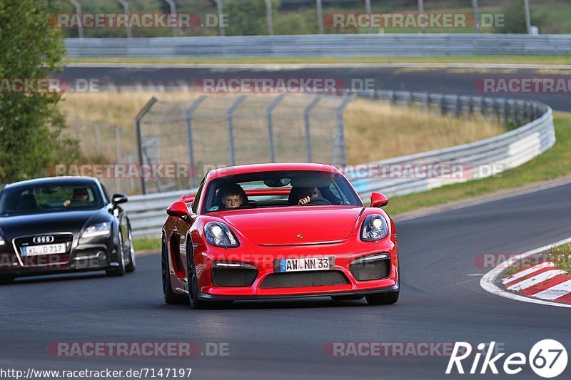 Bild #7147197 - Touristenfahrten Nürburgring Nordschleife (14.08.2019)