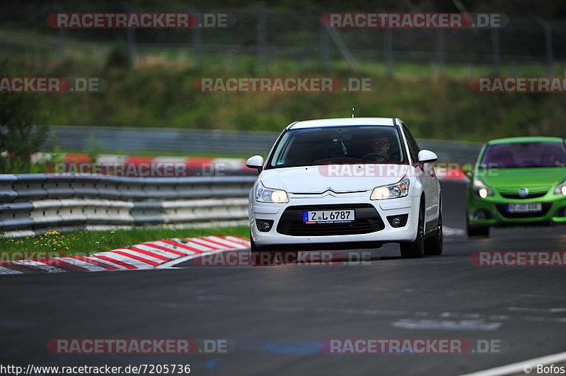 Bild #7205736 - Touristenfahrten Nürburgring Nordschleife (18.08.2019)