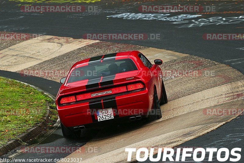 Bild #8023037 - Touristenfahrten Nürburgring Nordschleife (18.08.2019)