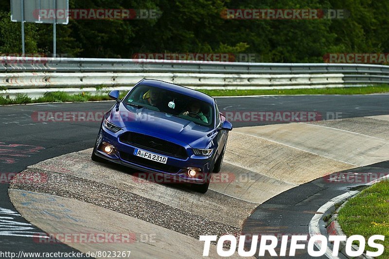 Bild #8023267 - Touristenfahrten Nürburgring Nordschleife (18.08.2019)