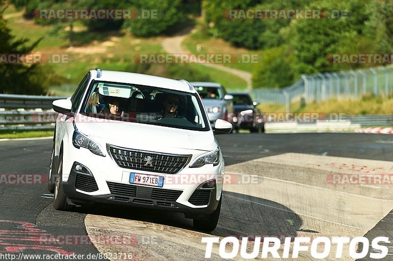 Bild #8023716 - Touristenfahrten Nürburgring Nordschleife (19.08.2019)