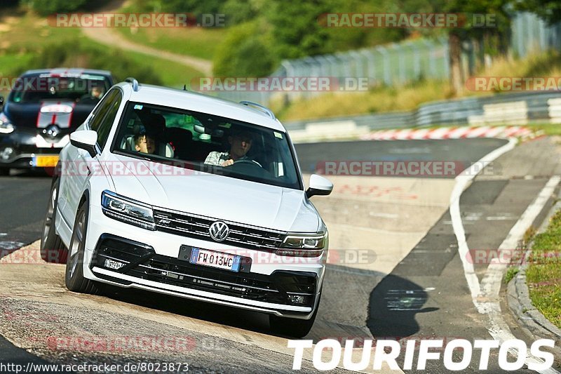 Bild #8023873 - Touristenfahrten Nürburgring Nordschleife (19.08.2019)