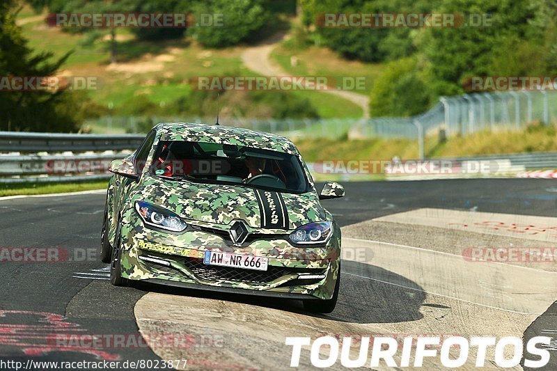 Bild #8023877 - Touristenfahrten Nürburgring Nordschleife (19.08.2019)