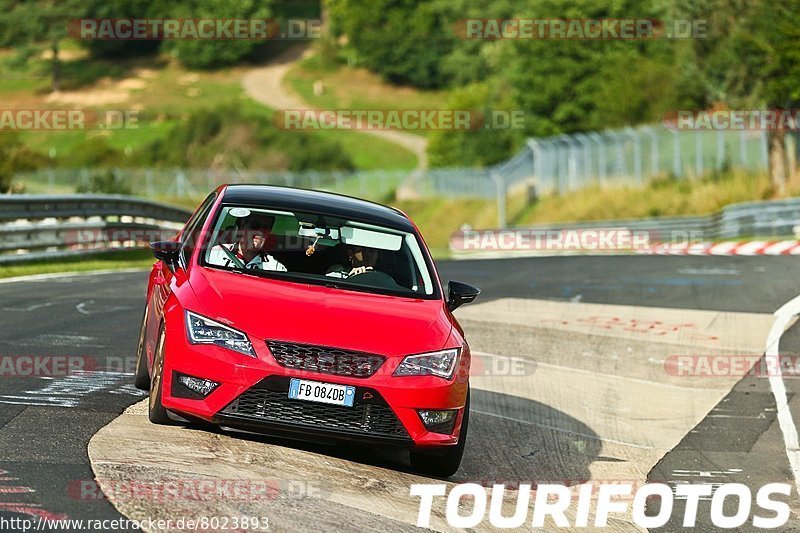 Bild #8023893 - Touristenfahrten Nürburgring Nordschleife (19.08.2019)