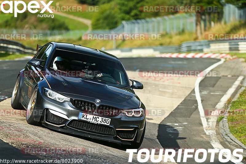 Bild #8023900 - Touristenfahrten Nürburgring Nordschleife (19.08.2019)