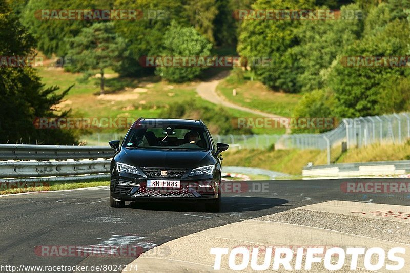 Bild #8024274 - Touristenfahrten Nürburgring Nordschleife (19.08.2019)