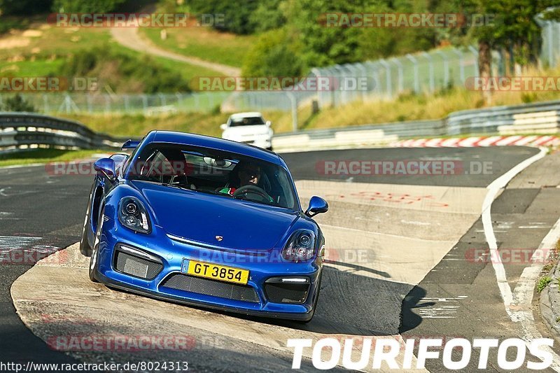 Bild #8024313 - Touristenfahrten Nürburgring Nordschleife (19.08.2019)