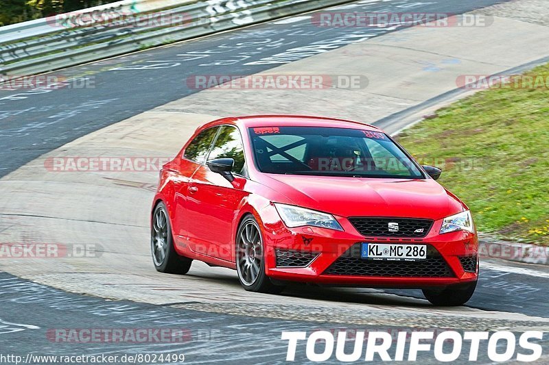 Bild #8024499 - Touristenfahrten Nürburgring Nordschleife (19.08.2019)