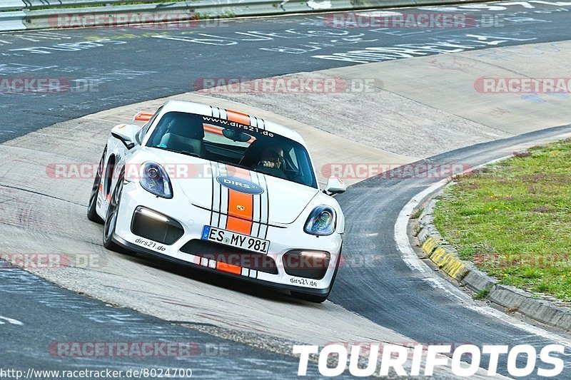 Bild #8024700 - Touristenfahrten Nürburgring Nordschleife (19.08.2019)