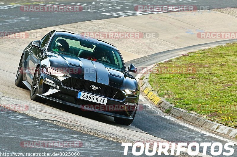 Bild #8025060 - Touristenfahrten Nürburgring Nordschleife (19.08.2019)