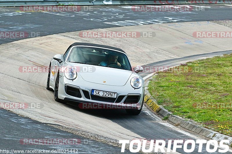 Bild #8025442 - Touristenfahrten Nürburgring Nordschleife (19.08.2019)