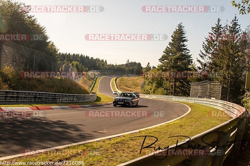 Bild #7236086 - Touristenfahrten Nürburgring Nordschleife (22.08.2019)