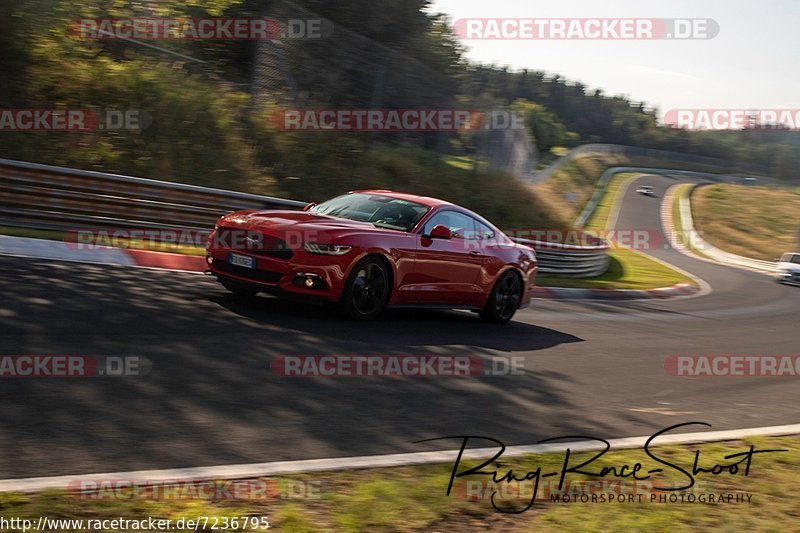 Bild #7236795 - Touristenfahrten Nürburgring Nordschleife (22.08.2019)