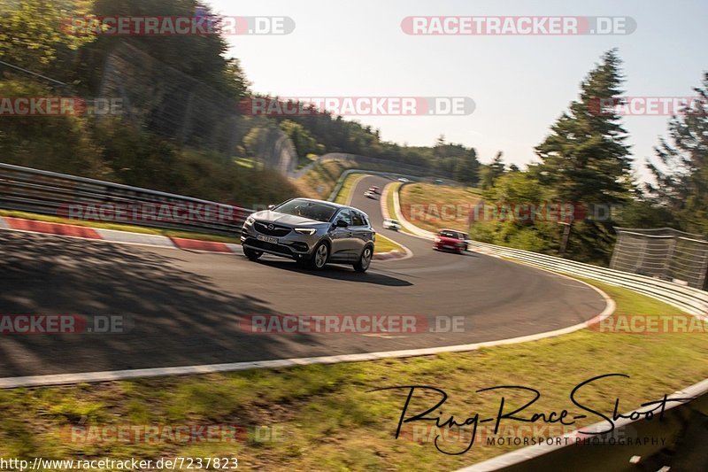 Bild #7237823 - Touristenfahrten Nürburgring Nordschleife (22.08.2019)