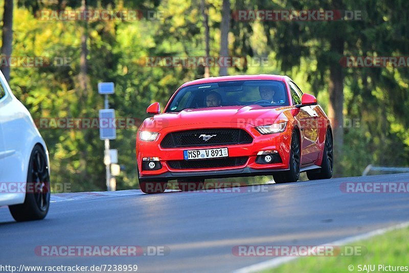 Bild #7238959 - Touristenfahrten Nürburgring Nordschleife (22.08.2019)