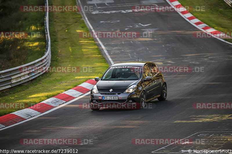 Bild #7239012 - Touristenfahrten Nürburgring Nordschleife (22.08.2019)