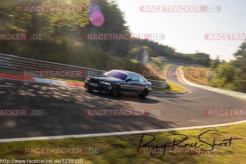 Bild #7239320 - Touristenfahrten Nürburgring Nordschleife (22.08.2019)