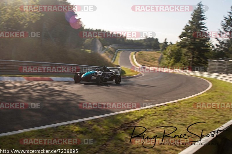 Bild #7239895 - Touristenfahrten Nürburgring Nordschleife (22.08.2019)