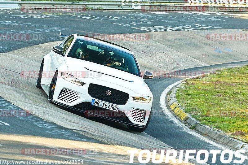 Bild #8028604 - Touristenfahrten Nürburgring Nordschleife (22.08.2019)