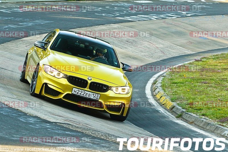 Bild #8029023 - Touristenfahrten Nürburgring Nordschleife (22.08.2019)