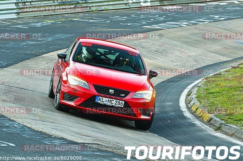 Bild #8029098 - Touristenfahrten Nürburgring Nordschleife (22.08.2019)