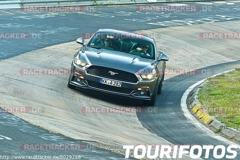 Bild #8029286 - Touristenfahrten Nürburgring Nordschleife (22.08.2019)