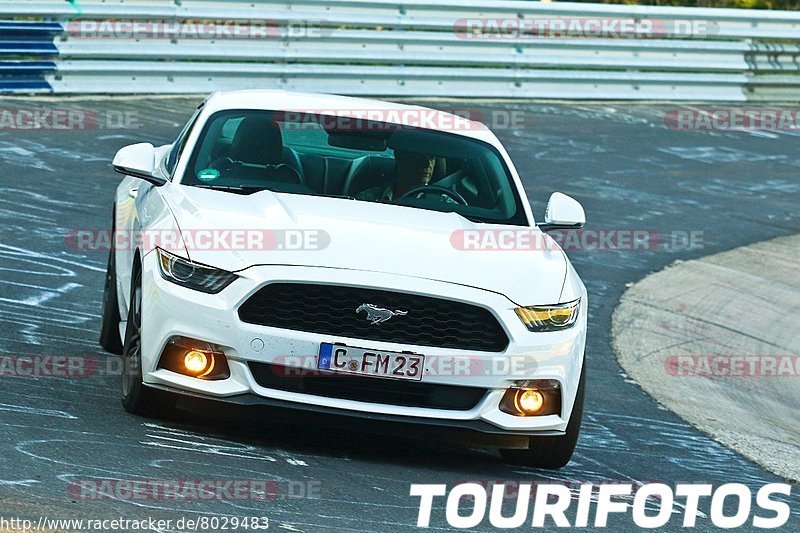 Bild #8029483 - Touristenfahrten Nürburgring Nordschleife (22.08.2019)