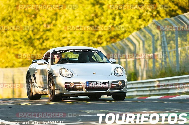 Bild #8031146 - Touristenfahrten Nürburgring Nordschleife (22.08.2019)