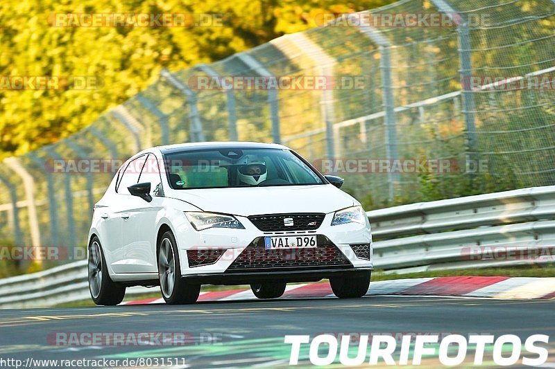 Bild #8031511 - Touristenfahrten Nürburgring Nordschleife (22.08.2019)