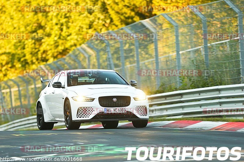 Bild #8031668 - Touristenfahrten Nürburgring Nordschleife (22.08.2019)