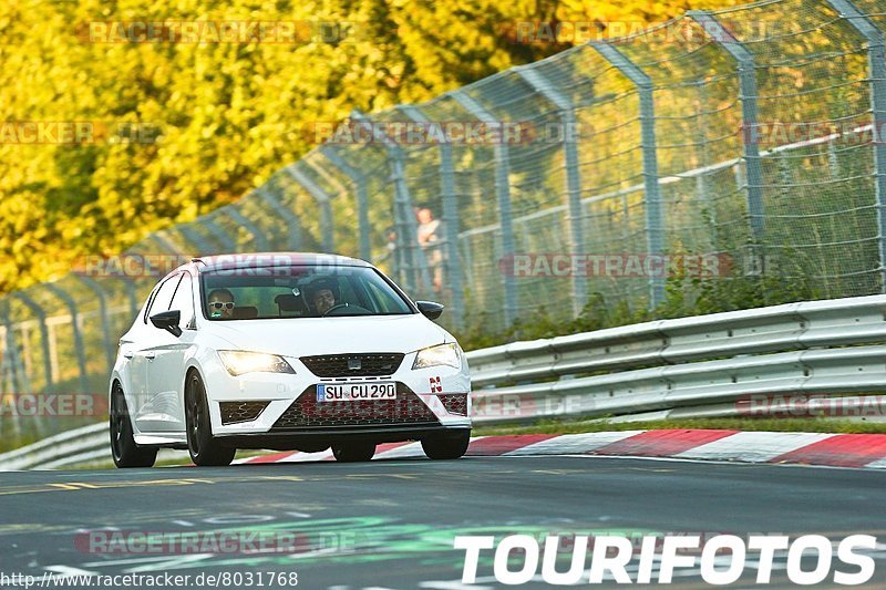 Bild #8031768 - Touristenfahrten Nürburgring Nordschleife (22.08.2019)