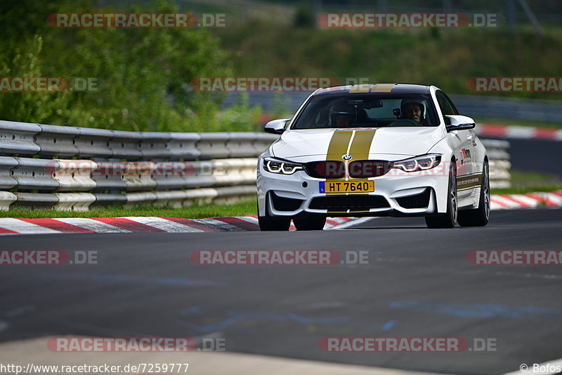 Bild #7259777 - Touristenfahrten Nürburgring Nordschleife (25.08.2019)