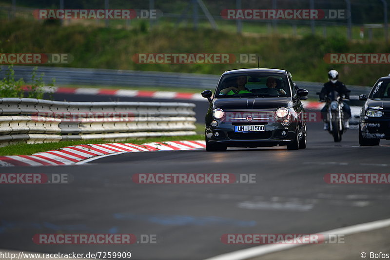 Bild #7259909 - Touristenfahrten Nürburgring Nordschleife (25.08.2019)