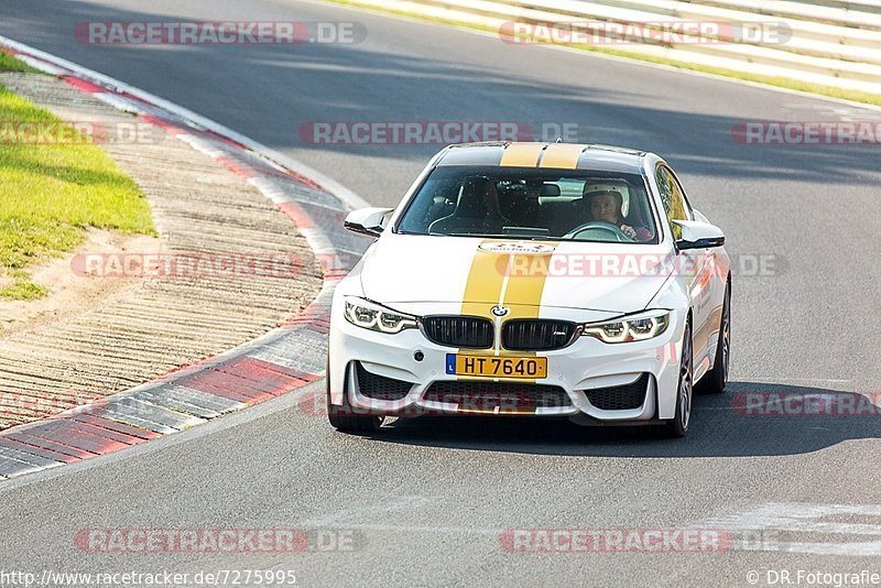 Bild #7275995 - Touristenfahrten Nürburgring Nordschleife (25.08.2019)