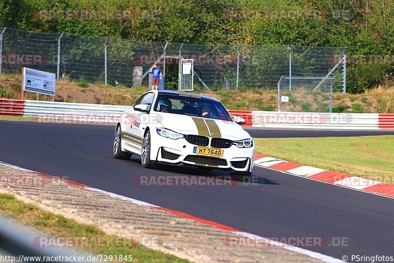 Bild #7293845 - Touristenfahrten Nürburgring Nordschleife (25.08.2019)