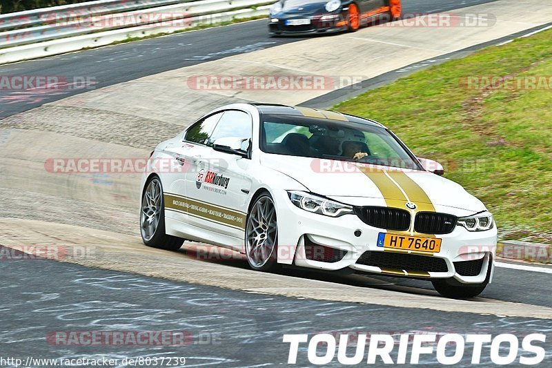 Bild #8037239 - Touristenfahrten Nürburgring Nordschleife (25.08.2019)