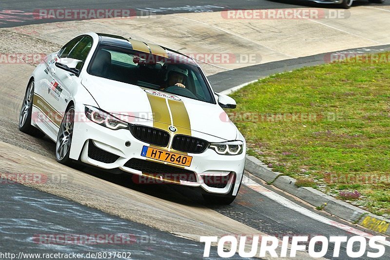 Bild #8037602 - Touristenfahrten Nürburgring Nordschleife (25.08.2019)