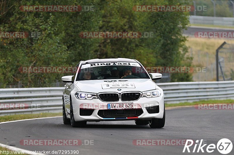 Bild #7295390 - Touristenfahrten Nürburgring Nordschleife (26.08.2019)