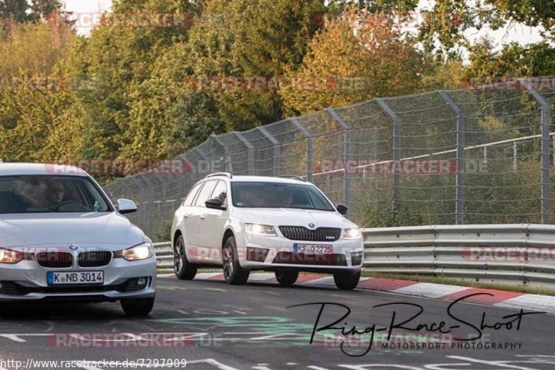 Bild #7297909 - Touristenfahrten Nürburgring Nordschleife (26.08.2019)