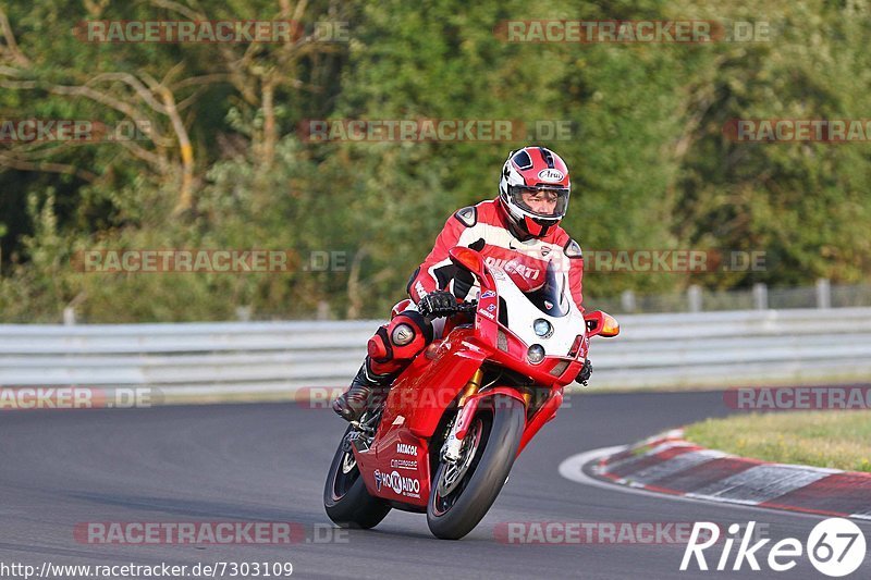 Bild #7303109 - Touristenfahrten Nürburgring Nordschleife (27.08.2019)