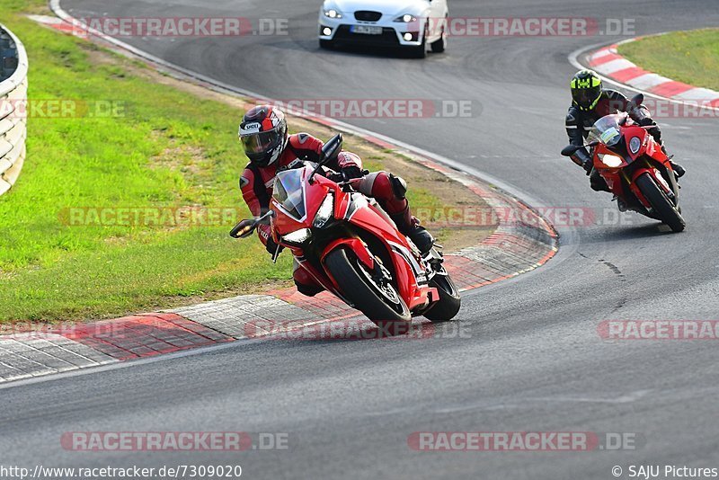 Bild #7309020 - Touristenfahrten Nürburgring Nordschleife (28.08.2019)