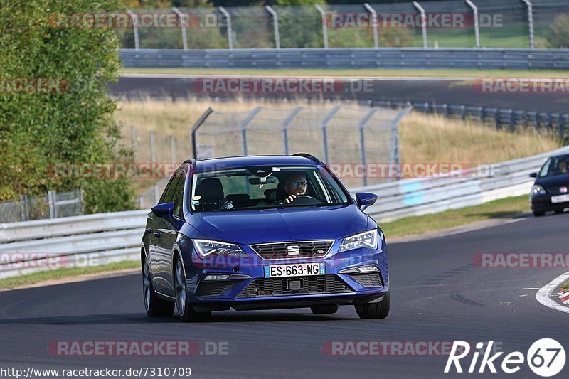 Bild #7310709 - Touristenfahrten Nürburgring Nordschleife (28.08.2019)