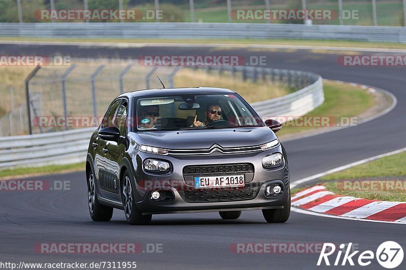 Bild #7311955 - Touristenfahrten Nürburgring Nordschleife (28.08.2019)