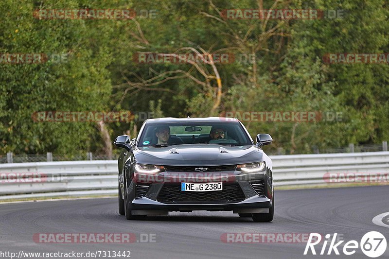 Bild #7313442 - Touristenfahrten Nürburgring Nordschleife (28.08.2019)