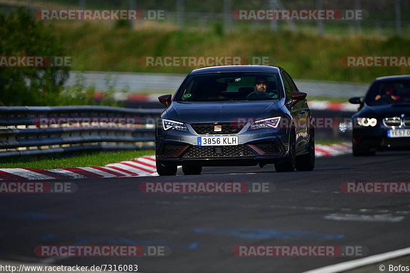 Bild #7316083 - Touristenfahrten Nürburgring Nordschleife (28.08.2019)