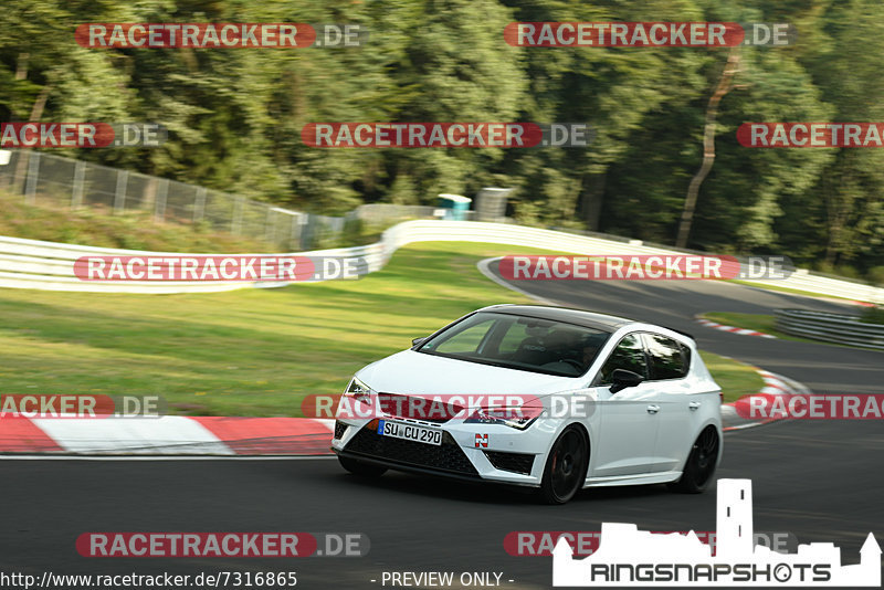 Bild #7316865 - Touristenfahrten Nürburgring Nordschleife (29.08.2019)